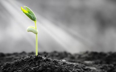 How to Increase Iman when your faith is weak