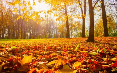 Don’t be Sad – A Solution from Allah