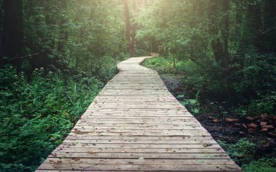 Your Destiny in Islam