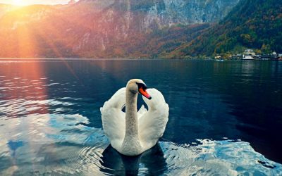 How to Love Yourself